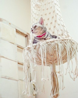shanti / �ޥ���� ����åȥϥ󥮥󥰥٥å�