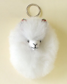 shanti / ۥ ٥ӡѥإå