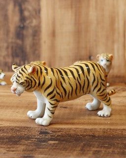 shanti / ƫ��ȥ� L