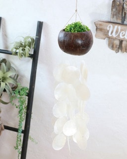 shanti / �����ܥ�������ԥ������ʥ���