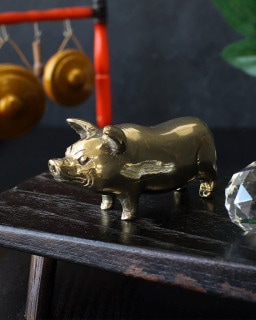 shanti / �֥饹 �֥�