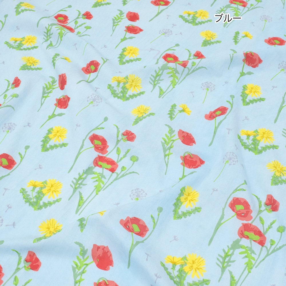 Images Of プシュケー Japaneseclass Jp