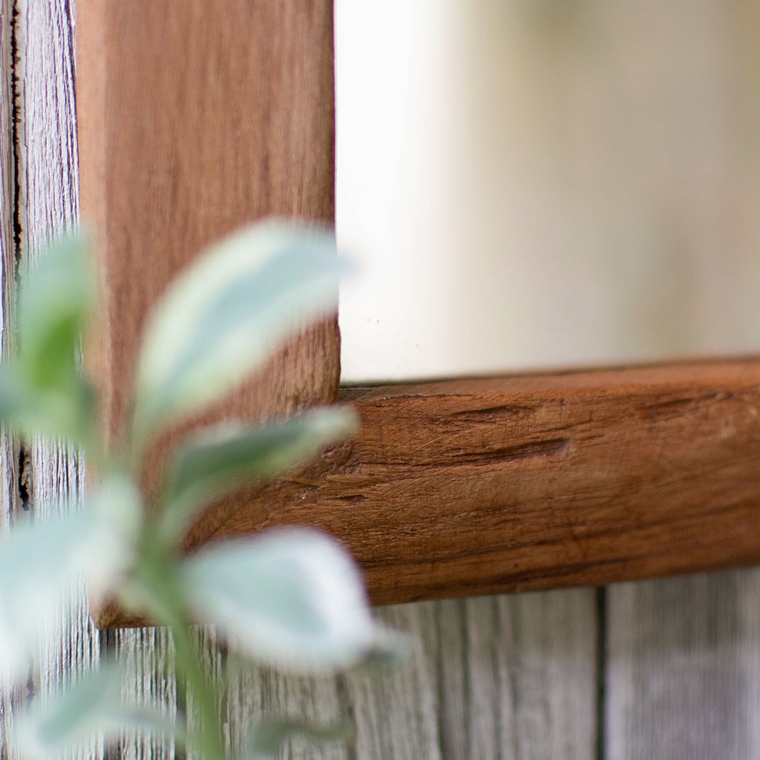 shanti / �Ѻ�ߥ顼S