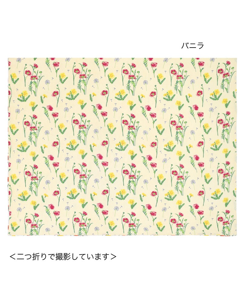 shanti / �ޥ�������� /�ץ��奱��