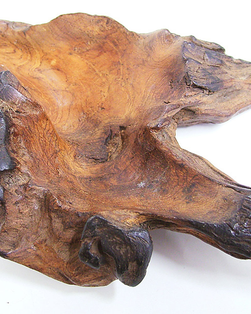 shanti / �������κ��ä��ȥ쥤(���󥻥󥹥ۥ����)