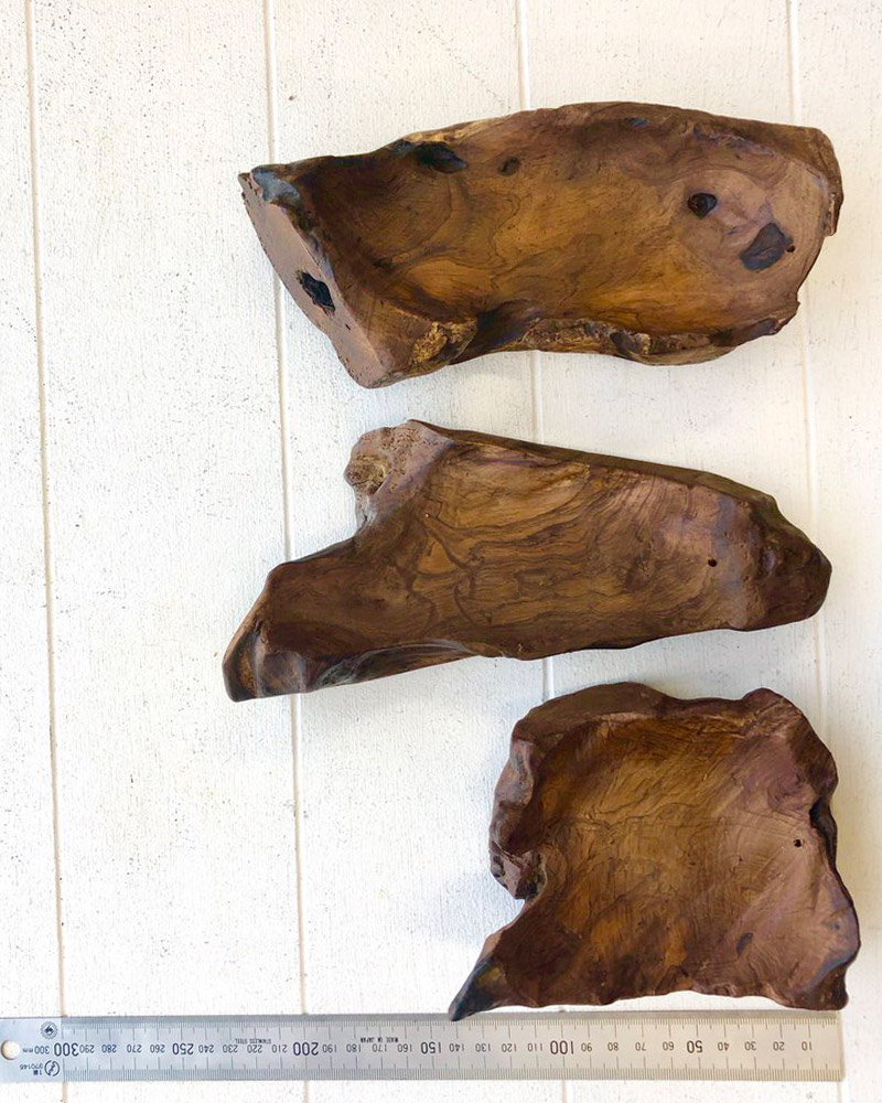 shanti / �������κ��ä��ȥ쥤(���󥻥󥹥ۥ����)