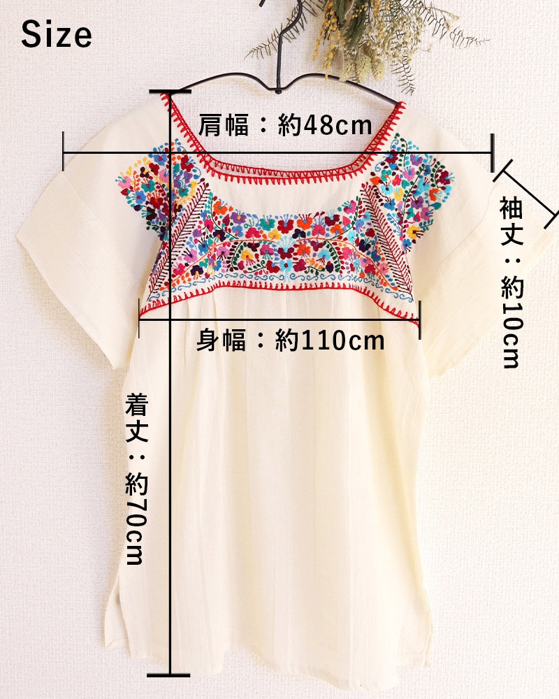 tesoro / ϥɽ֥饦 / ʥ