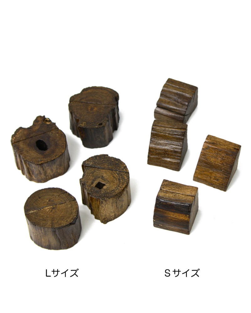shanti / ������ /������Ω��L