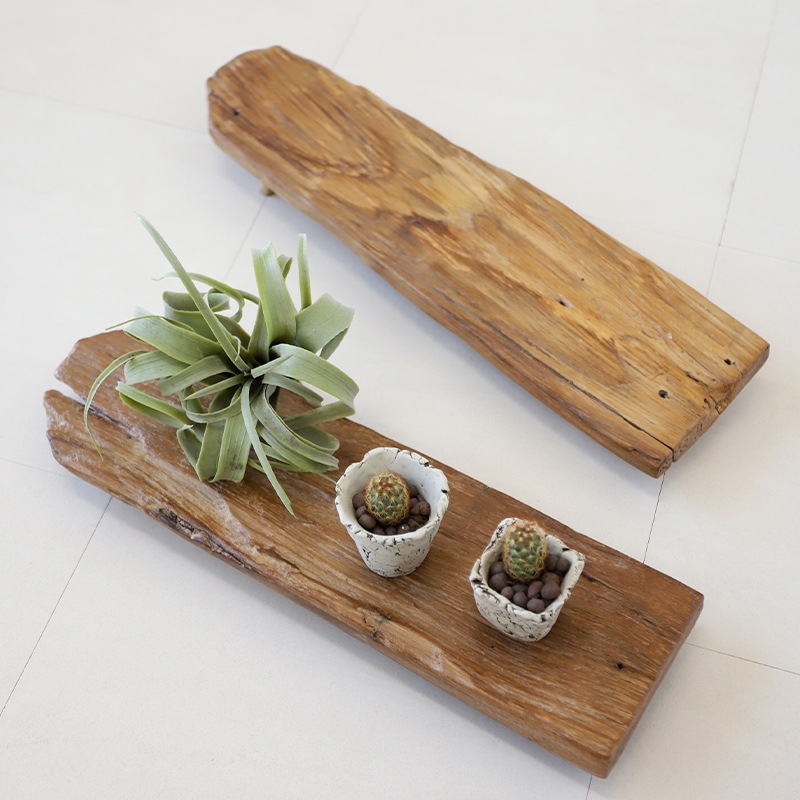 shanti / �Ѻ���դ��ȥ쥤