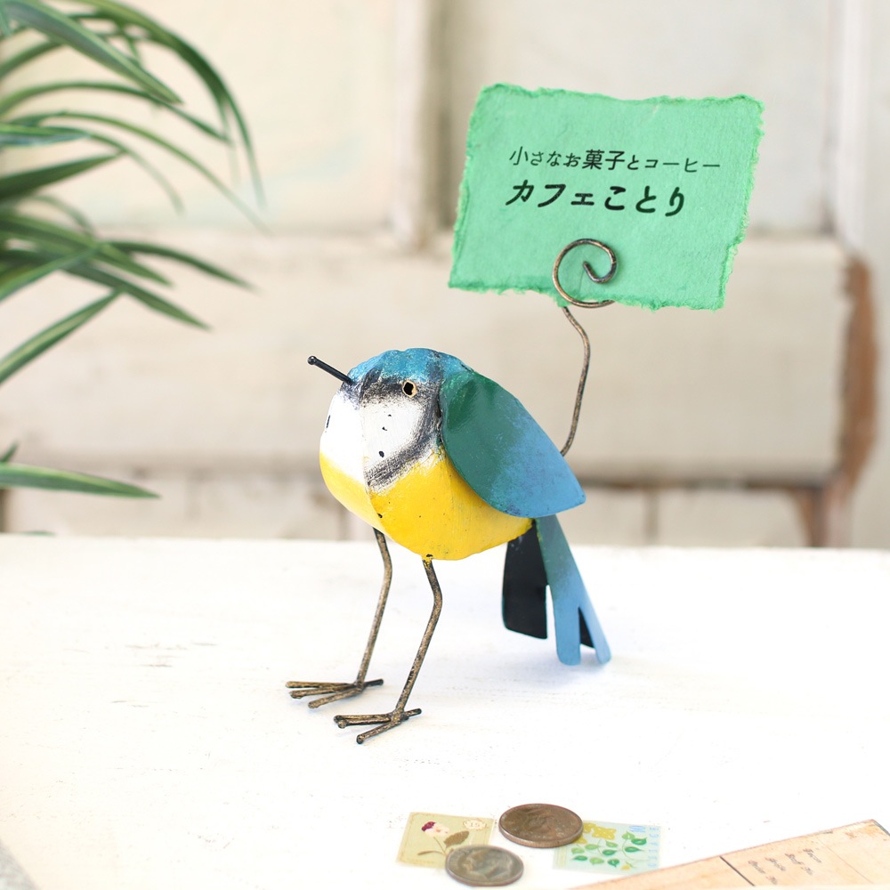 shanti / ֥ꥭ /ɥۥ /С