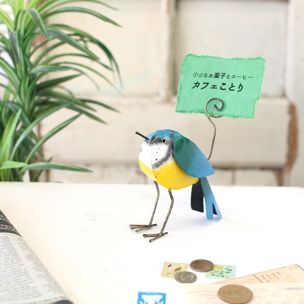 shanti / ֥ꥭ /ɥۥ /С