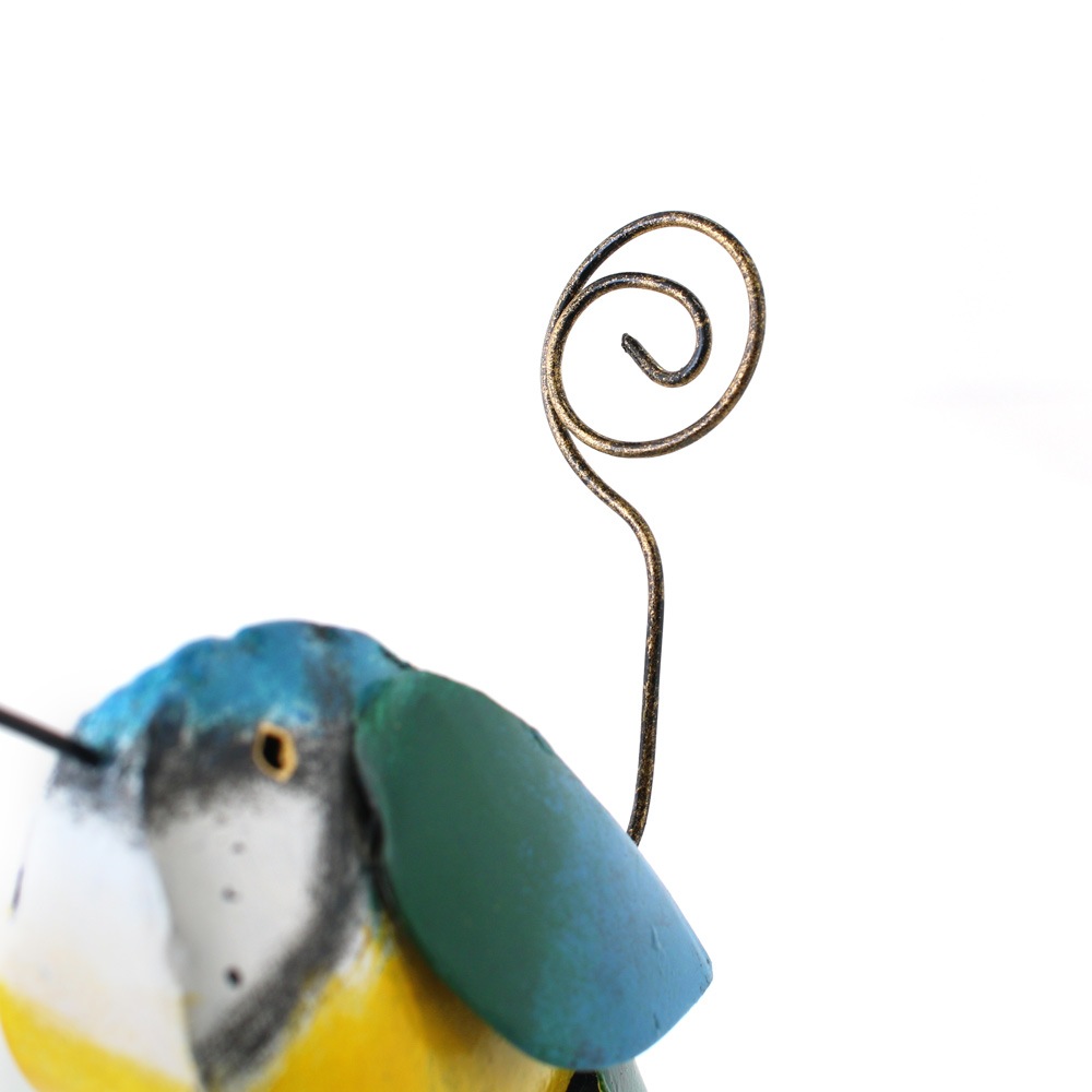 shanti / ֥ꥭ /ɥۥ /С