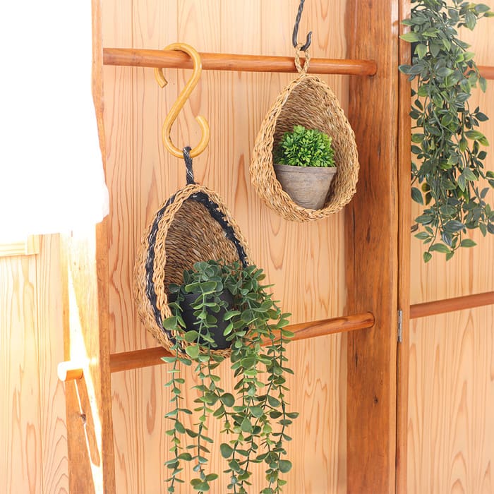 shanti / 饹塼ȥɥåץϥ󥮥