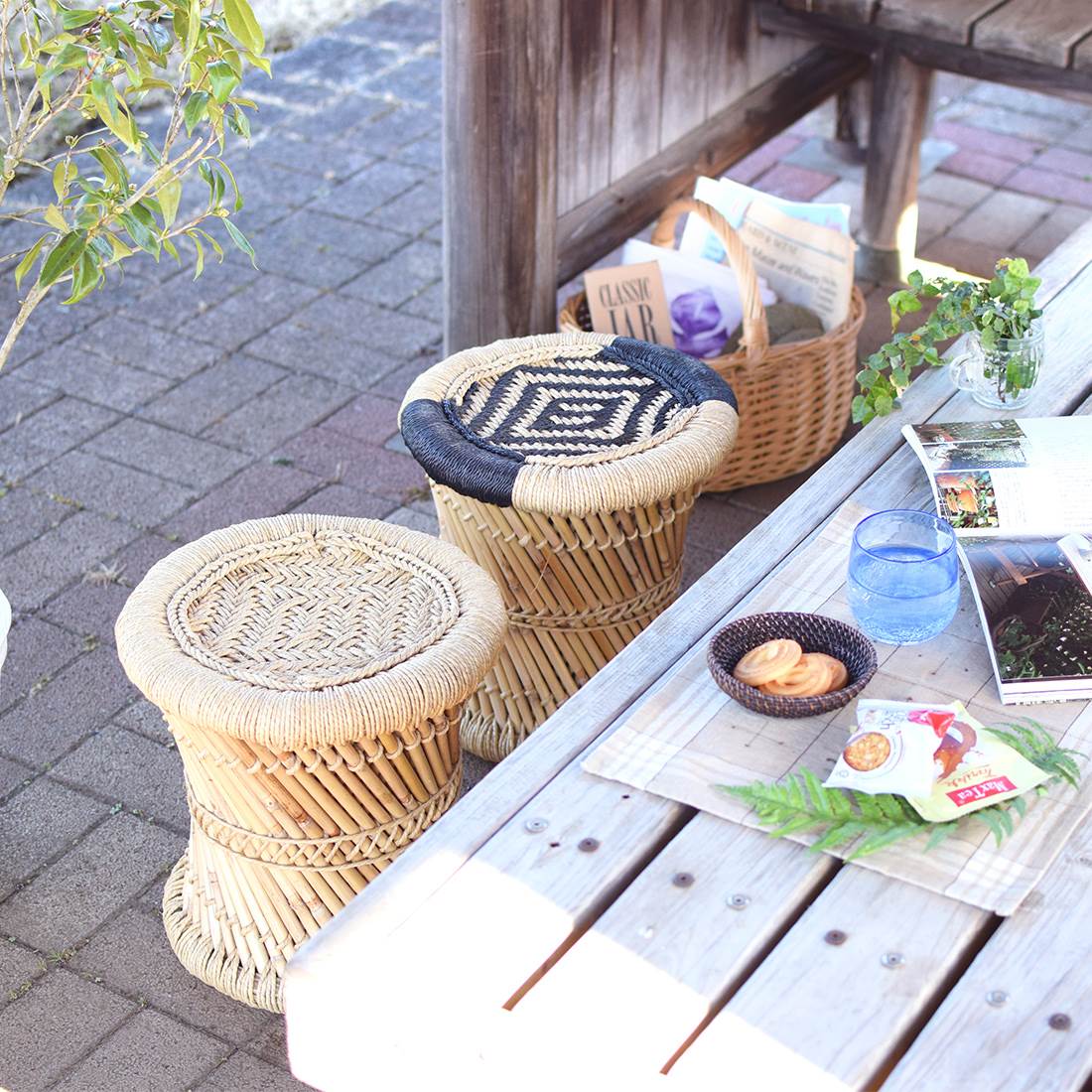shanti / �꡼�ɥ��ġ���