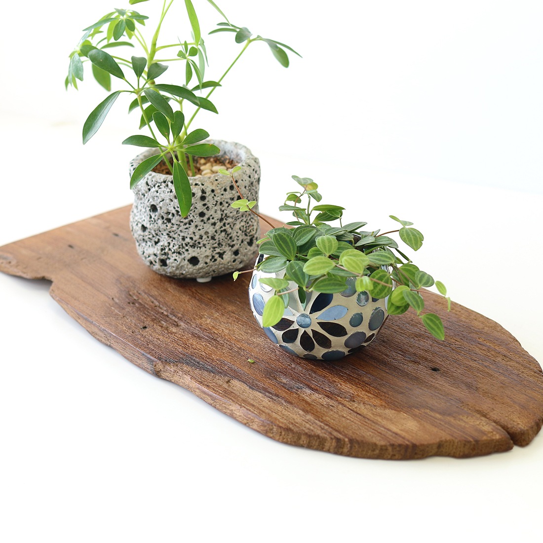 shanti / �Ѻ�ܡ��� �磻��