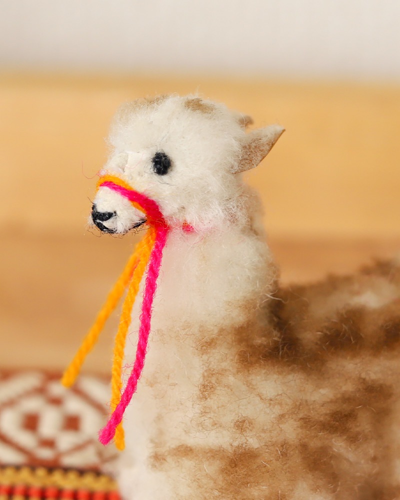 tesoro / ߥ˥ѥͷ/ ڥ