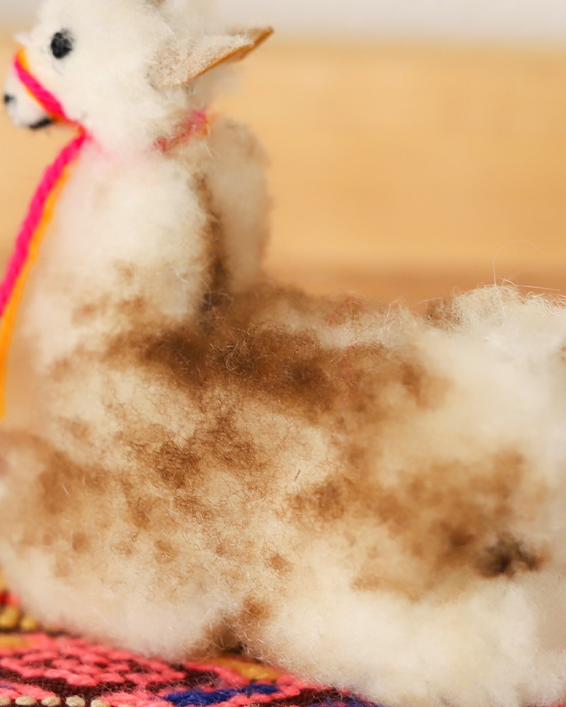 tesoro / ߥ˥ѥͷ/ ڥ