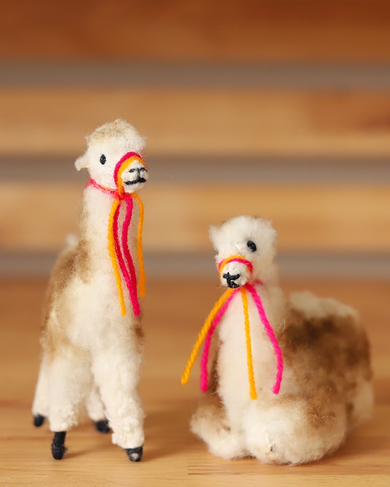 tesoro / ߥ˥ѥͷ/ ڥ