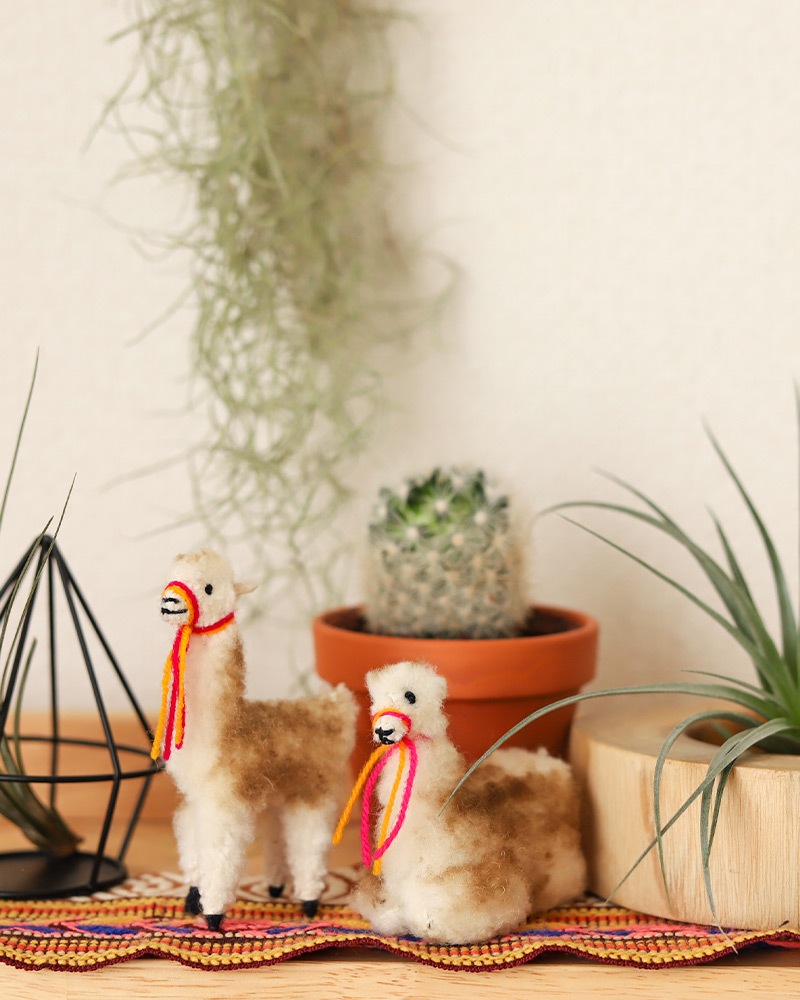 tesoro / ߥ˥ѥͷ/ ڥ