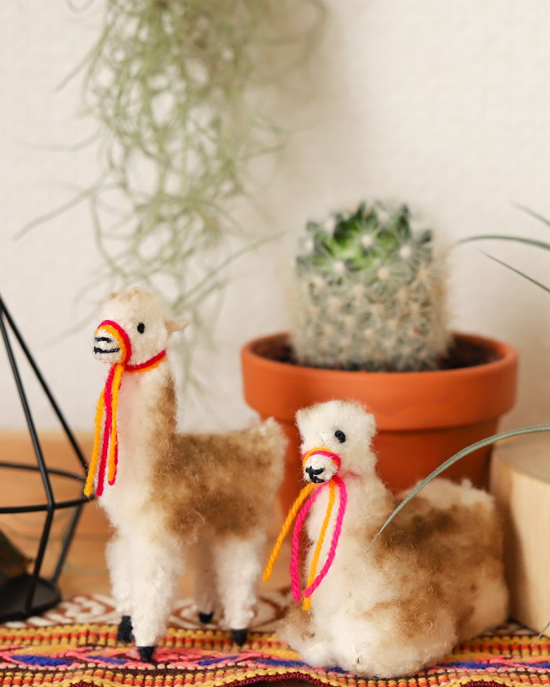 tesoro / ߥ˥ѥͷ/ ڥ