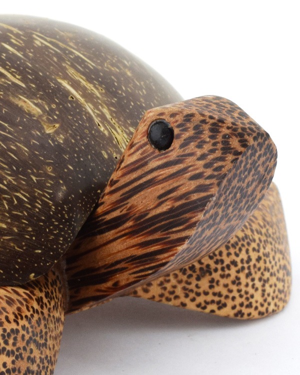 shanti / ����ȥ쥤