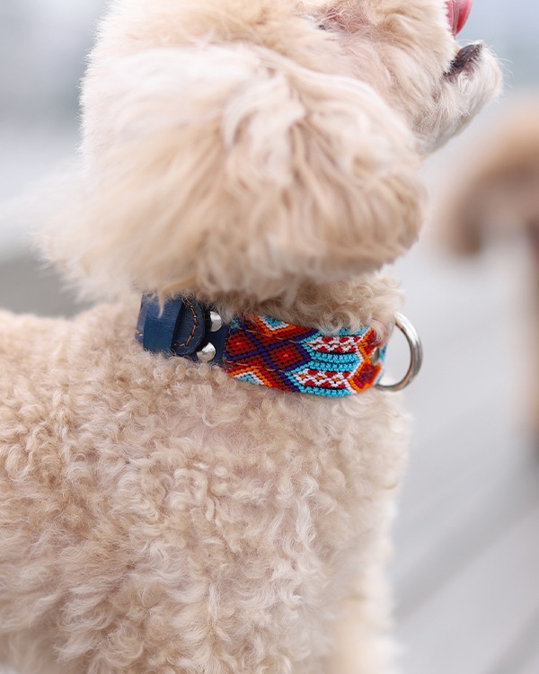 tesoro / ڥåѼ / ߥ 25cm / ͥӡ [᡼о]