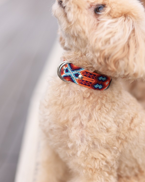 tesoro / ڥåѼ / ߥ 25cm / ͥӡ [᡼о]