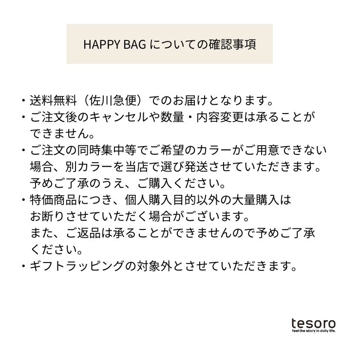 tesoro / 2024 ո / HAPPYBAG B ۥϡ(ѡץ)ܿ͵Хå