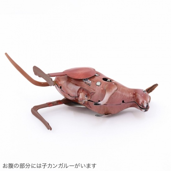 shanti / ֥ꥭ 󥬥롼