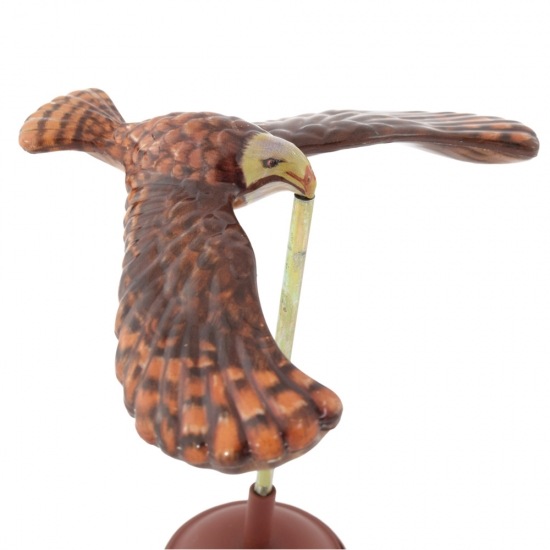 shanti / ֥ꥭ ե饤󥰥