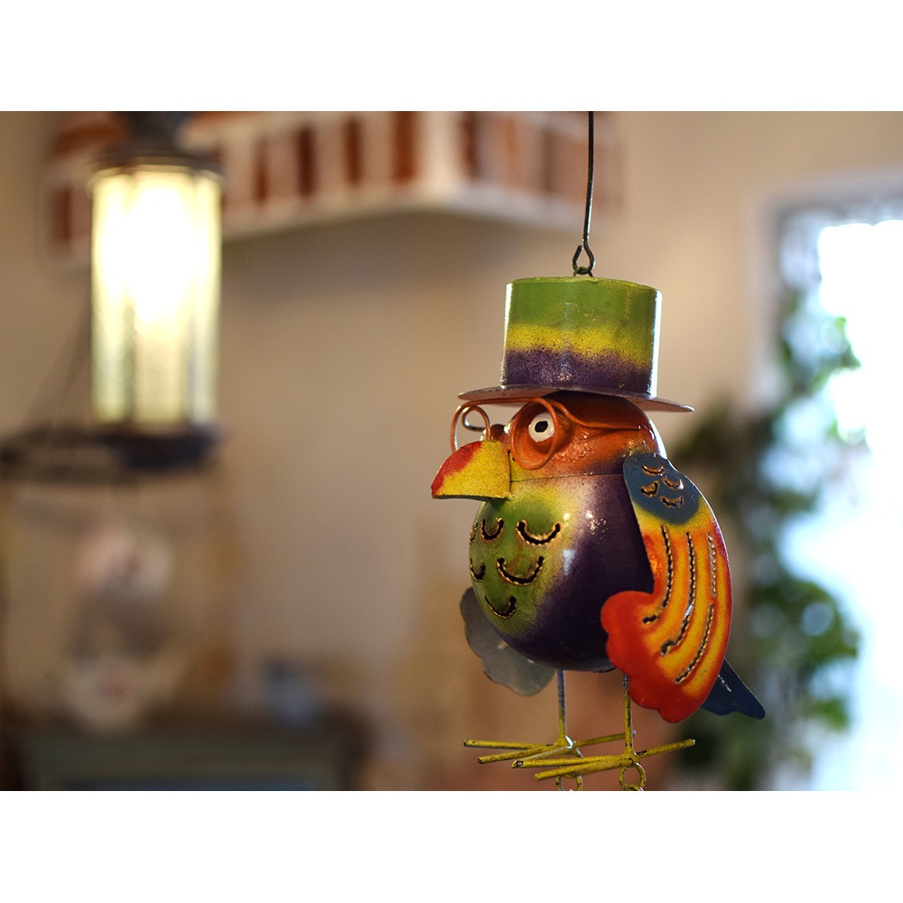 shanti / ֥ꥭ٥ /ϥå