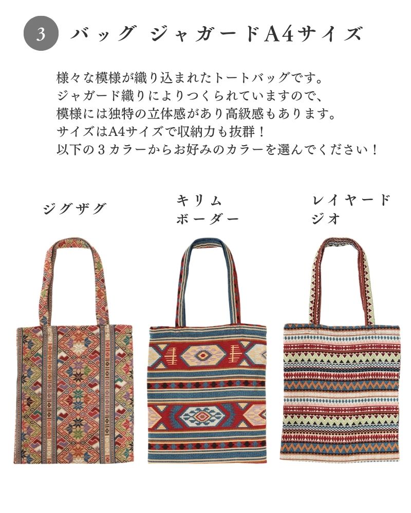 tesoro / 2024 ո / HAPPYBAG H ᥭѡ(֥åߥ졼S)ܿ͵ƥࣳ 