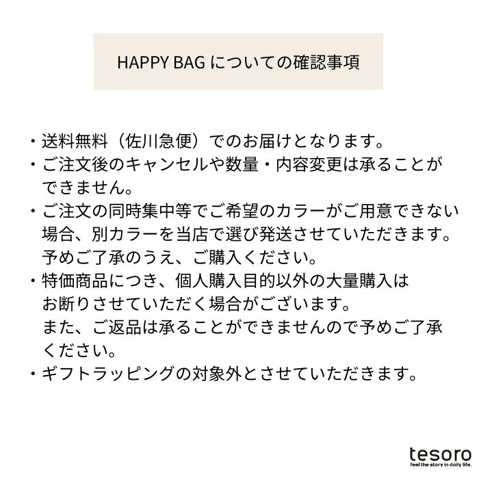 tesoro / ո / HAPPYBAG C ۥϡ(饤ȥ)ܿ͵Хå