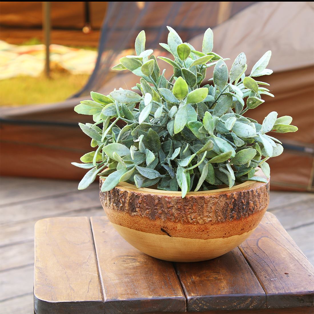 shanti / マンゴーウッド ボウル L｜テソロ(tesoro)公式通販