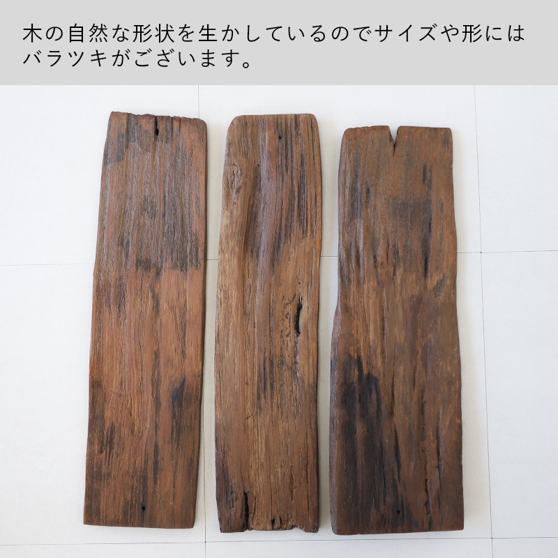 shanti / �������Ѻ�ܡ���S