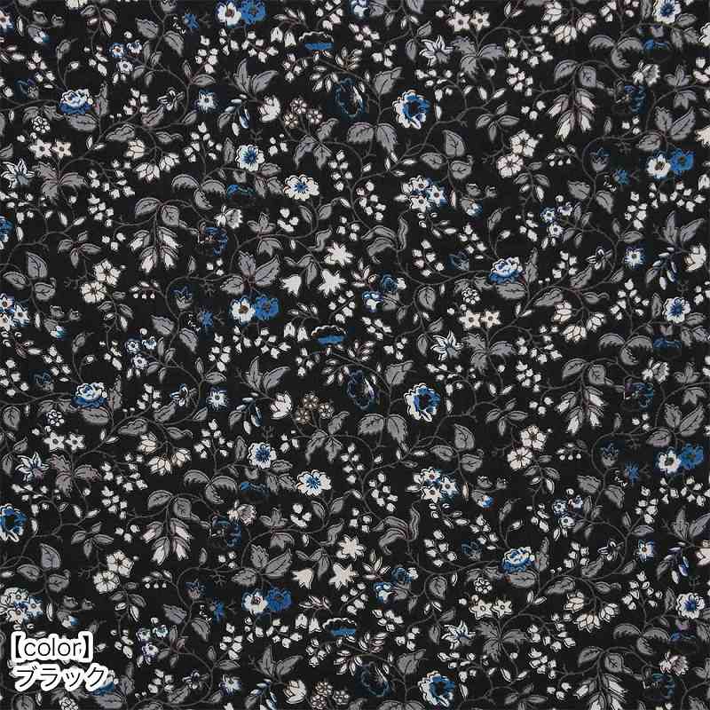 �ڽղư����� shanti / �ץ륪���С� �ܥ��˥�