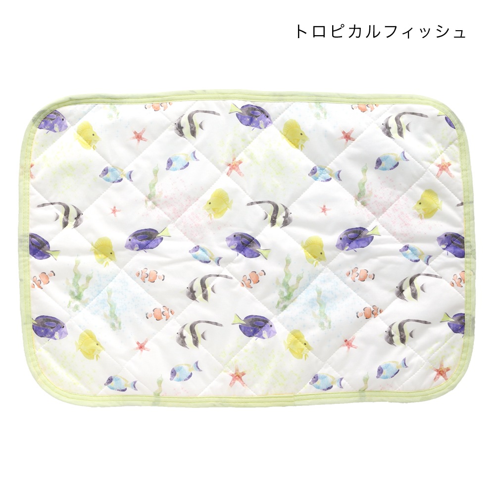 shanti / �䴶�����С�