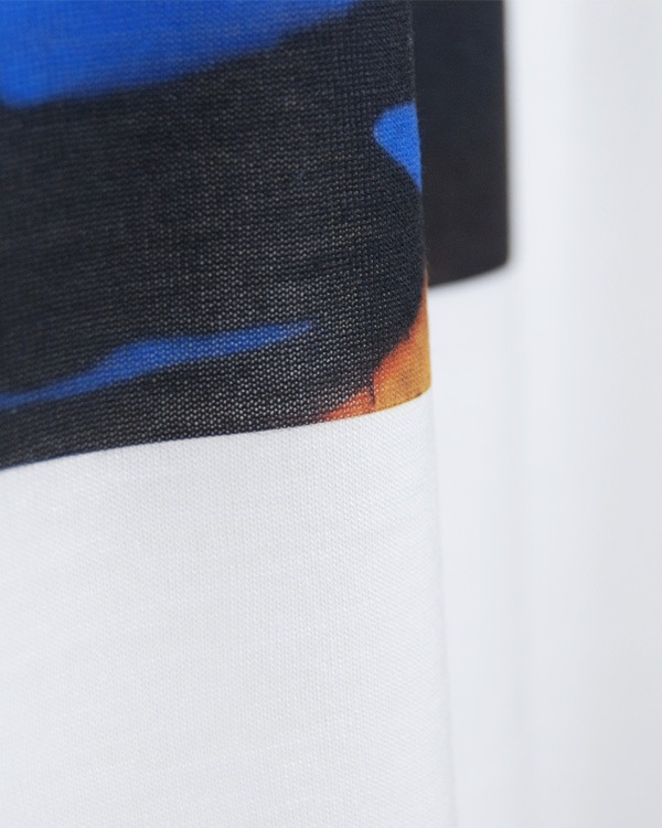 tesoro / �����T����� / Blue Demon y El Santo