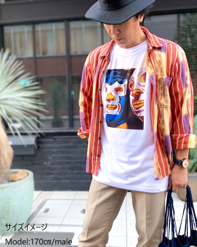 tesoro / �����T����� / Blue Demon y El Santo