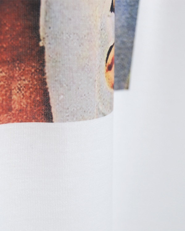 tesoro / XL T / El Santo y Blue Demon