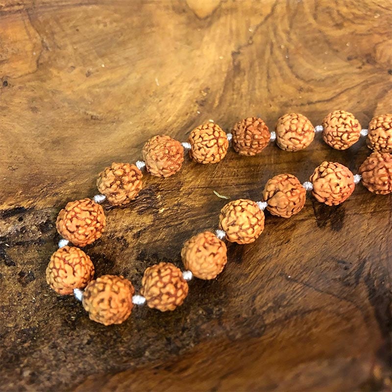 shanti / YOGA�ͥå��쥹 �֥å� [�᡼�����о���]