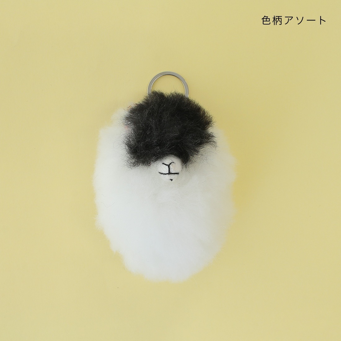 shanti / ۥ ٥ӡѥإå