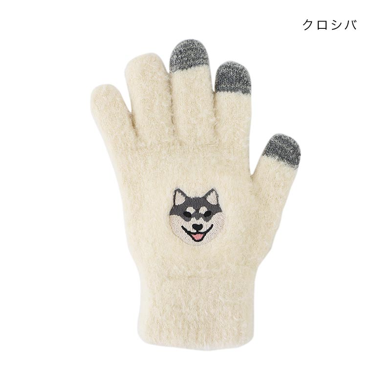 shanti / ���ޥۼ��� [�᡼�����о���]