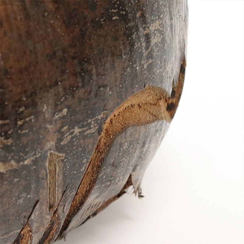 カンボジア　ペーパーマッシュ プランター Amazon.co.jp: ヤシのマット、ココのライナーシートココナッツ