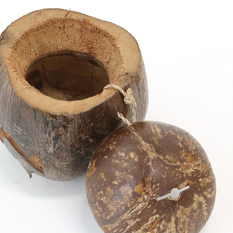 カンボジア　ペーパーマッシュ プランター Amazon.co.jp: ヤシのマット、ココのライナーシートココナッツ