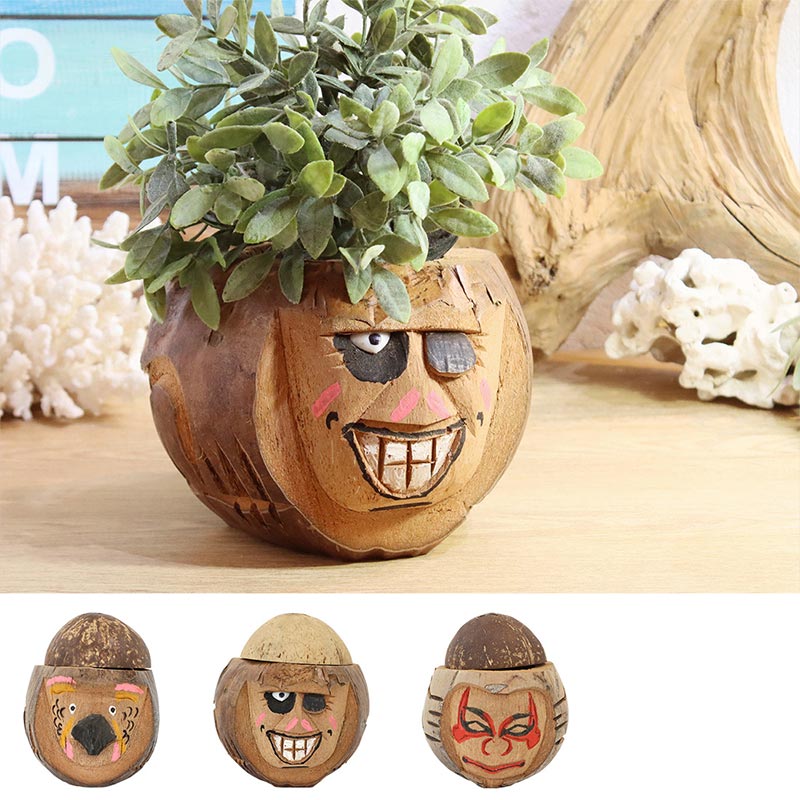 shanti / ココナツプランター｜テソロ(tesoro)公式通販