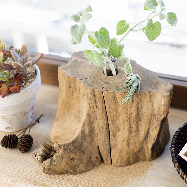 shanti / チーク 根っこ フラワーベース｜テソロ(tesoro)公式通販