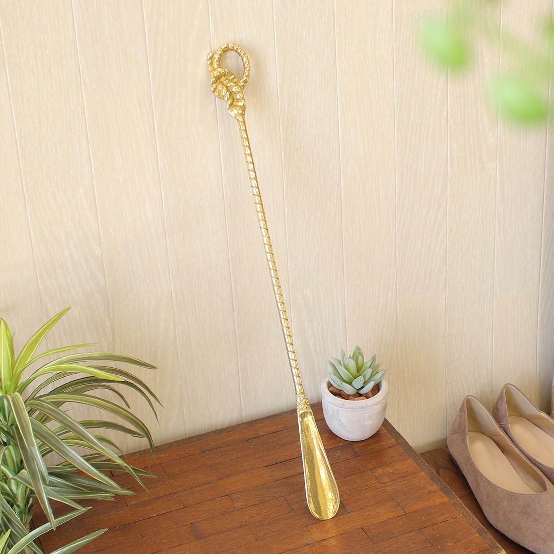 shanti / �����ꥢ�֥饹 ���٤�
