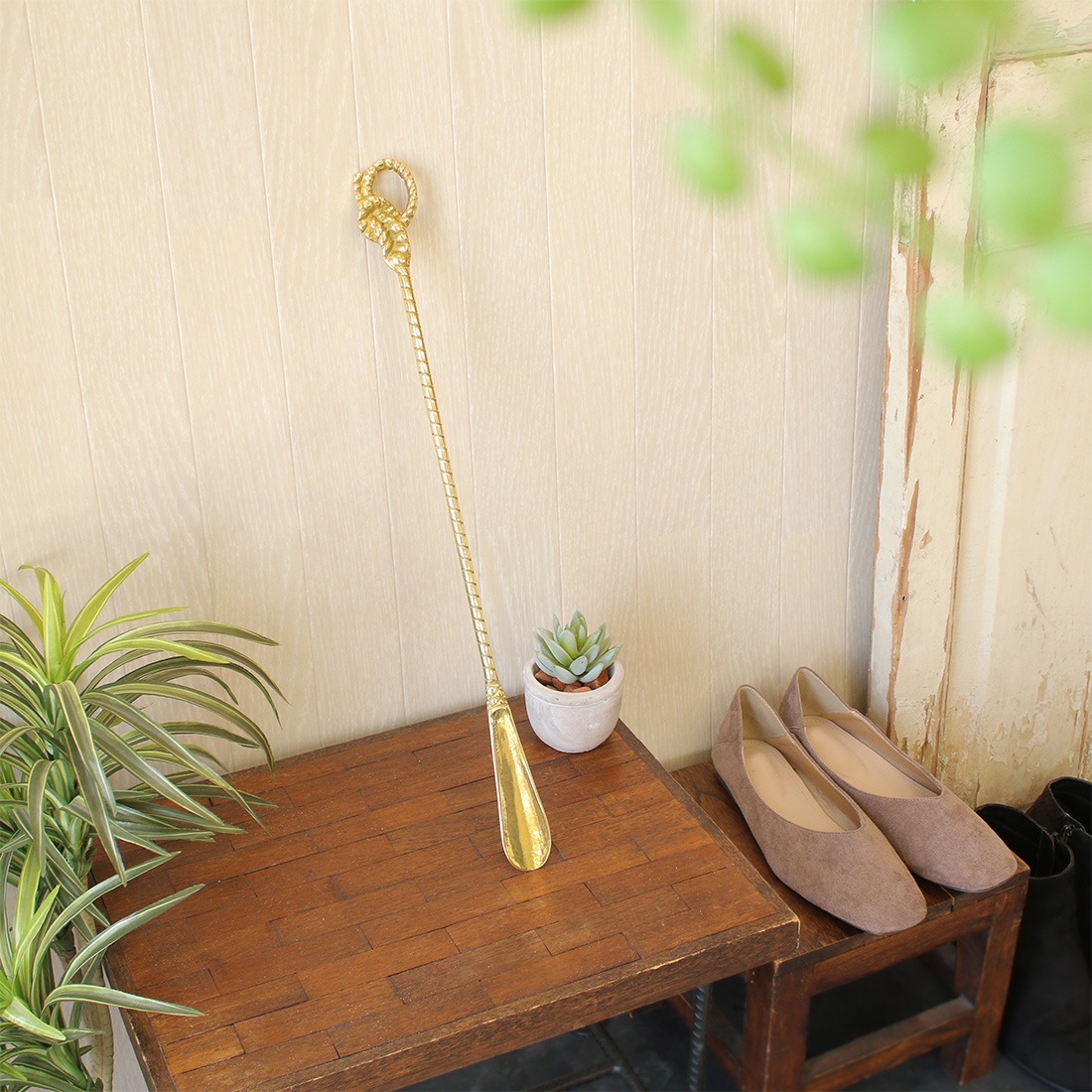 shanti / �����ꥢ�֥饹 ���٤�