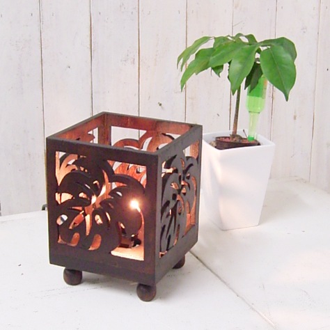 shanti / ����������(20W)